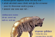 Hyaena conservation poster